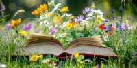 Open book resting on a grassy meadow, filled with various wildflowers in full bloom.  The book is positioned in the center of the image, and the vibrant colors of the flowers contrast with the natural tones of the grass and the book itself.